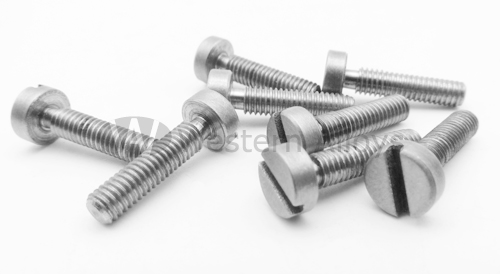 tantalum screw